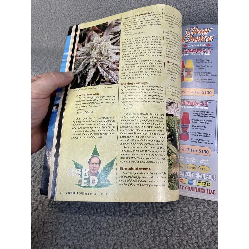 CANNABIS CULTURE MAGAZINE‎ JUNE / JULY 2003